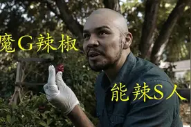 200万辣度的死神辣椒，瞬间就能让人休克，仍保持世界吉尼斯纪录视频封面