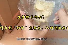 生根粉不用买？3分钟自制“秘制”生根水，比柳树枝水好视频封面