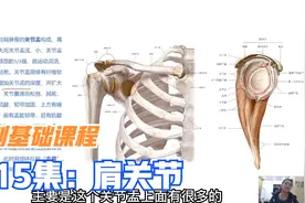 肩关节精细解剖讲解，以及方肩，扛肩，肩膀脱位原因机制，纯干货