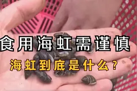 多地发布预警通告！食用海虹需谨慎 海鲜食用禁忌多视频封面