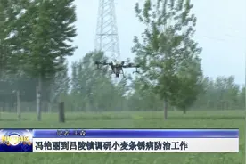 冯艳丽到吕陵镇调研小麦条锈病防治工作视频封面