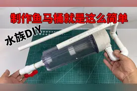 用废弃RO杯就可以自己DIY鱼马桶，不要几百块，既简单又好用视频封面
