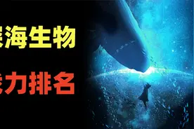 盘点那些战力爆表的海洋生物！视频封面