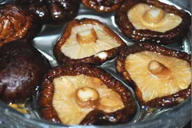 泡发香菇万万不可直接加水，饭店厨师教我诀窍，3分钟全泡开！视频封面