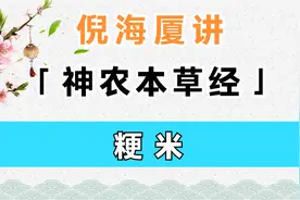 粳米 | 倪海厦讲《神农本草经》视频封面