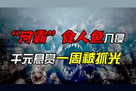 亚马逊河霸食人鱼入侵，惨遭千元悬赏一周被抓光，多年后巢湖再现视频封面