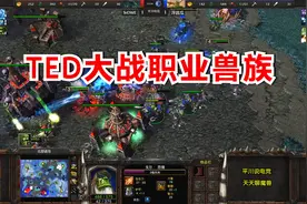 TED复出参赛，非主流大战职业兽族，战况一波三折！魔兽争霸3视频封面