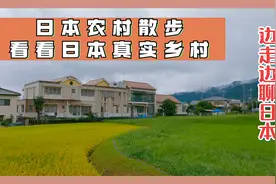 日本乡村雨中散步，实拍日本街道，带大家散步，跟大家聊聊日本视频封面