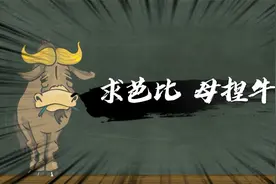 求芭比，母捏牛，是什么意思？视频封面