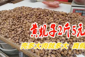 丹东早市5块钱买2斤黄蚬子，壳多大肉就多大？回家清炒看看真假