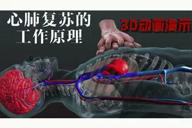让急救知识变得更直观：用3D动画演示心肺复苏的原理及过程视频封面