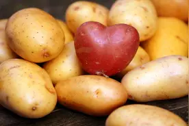 四川农村洋芋丝丝都是这样做的、家常土豆丝、制作简单、一看就会