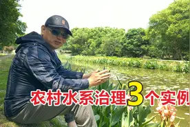 农村废弃20年河道如何治理？3个案例各有千秋，你选哪个？视频封面