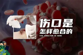 伤口是怎样愈合的视频封面