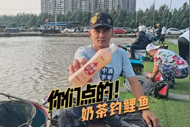 奶茶开饵钓鲤鱼，在上场没出鱼的位置爆连飞鱼贼过瘾！视频封面