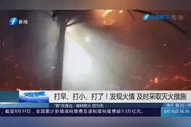 人为因素引发森林火灾占比最大！含水矿泉水瓶也可能引发火灾视频封面