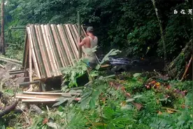 竹林建造小屋，独特屋顶建造技术，大雨来临也不怕视频封面