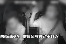 这是疯了？女乘客要求司机在高速上停车，遭拒后殴打司机后脑视频封面