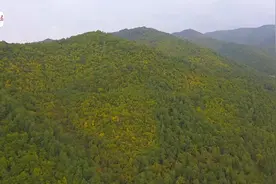 【奋进新征程 建功新时代 喜迎党的二十大】祁连山下我的家视频封面