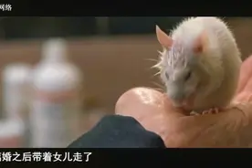 鼠王邱满囤一次灭鼠35万只，专利配方火到国外，拒270万美元收购视频封面