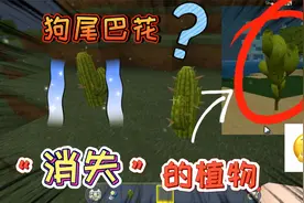 迷你世界：消失的植物！仙人掌的初始样子，没有几个玩家能认出来视频封面