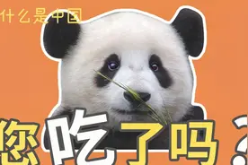 【为什么是中国】见面先问“吃了吗”，为什么中国人那么爱吃？视频封面