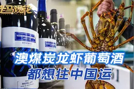 澳煤炭龙虾葡萄酒，都想往中国运，但想让中方接盘，没那么简单视频封面