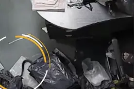 男子拆快递时突然窜出一条蛇 吓到跳上椅子：以为是玩具视频封面