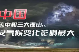 中国为什么主动做碳中和？发达国家所迫？太牵强视频封面