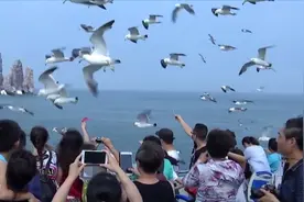 海上仙山，美丽长岛！跟随视频领略长岛之美，是理想的避暑胜地视频封面