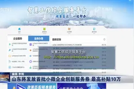 最高补贴10万！山东将发放首批小微企业创新服务券，申领方式看这视频封面