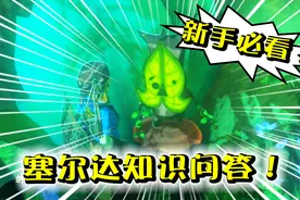 只有资深老玩家才知道！塞尔达知识问答来啦！塞尔达传说22b视频封面
