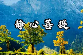 《静心菩提》很多事情本身我们无法控制，但可以控制自己。视频封面