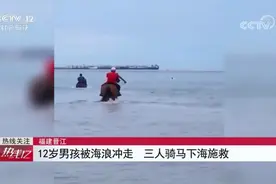 12岁男孩被海浪冲走 三人骑马下海施救视频封面