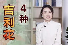 客厅摆放什么花好呢？首选4种“吉利花”，既好看又旺家视频封面