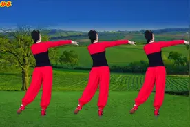 民族舞《俊女子亲哥哥》男女对唱陕北民歌，幽默风趣好听视频封面