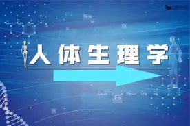人体生理学_三、血液循环-3.8动脉血压及其形成视频封面