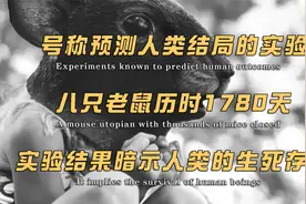 号称预测人类结局的实验：老鼠乌托邦，它暗示了人类的生死存亡！视频封面
