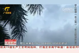 南宁今年气象有些异常，“空台”致多地干旱，专家说出其中的原因视频封面