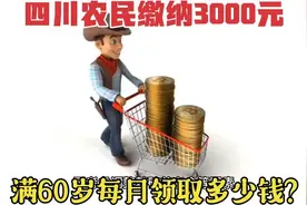 四川农民缴纳3000元，满60岁每月领取多少钱？未来还会涨工资吗？视频封面