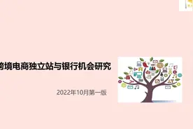 跨境电商独立站与银行机会研究视频封面