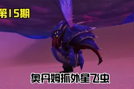 魔兽世界：去奥丹姆抓骆驼和特色巨蜂视频封面