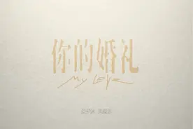 你的婚礼    而我是《嘉宾》视频封面