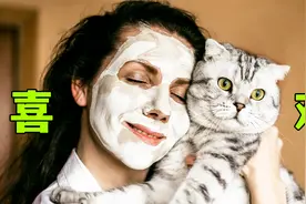 跟男主人相比，猫更喜欢女主人！视频封面