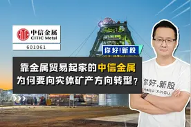 中信金属：靠金属贸易起家，为何要向实体矿产方向转型？视频封面
