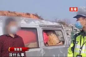 上车养成好习惯！系好安全带，守护出行安全视频封面