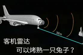 客机雷达的功率有多大，可以烤熟300米外的一只兔子？视频封面