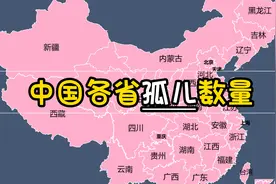 中国各省孤儿数量，多多关爱视频封面