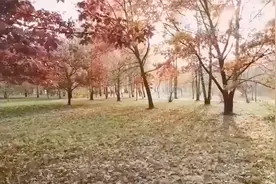 【灵动轻音乐】你永远看不见我眼里的泪,因为你不在时我才会哭泣.视频封面