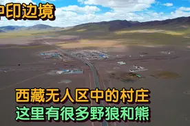 西藏无人区中的村庄，村子周围有狼群和熊，看看当地人怎样生活的视频封面
